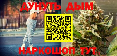 apvp Краснодар
