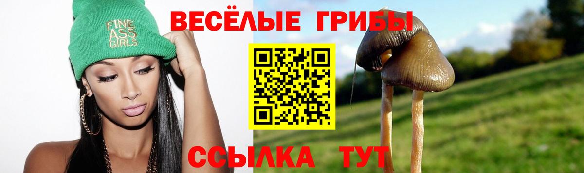 Псилоцибиновые грибы мухоморы  Вход с VPN  Галлюциногенные грибы прущие грибы  Коряжма 